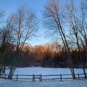 Meet your Posher, Ruth